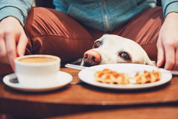 Calm at the Coffee Shop