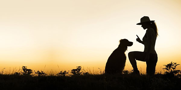 Lessons From a Dog Trainer: How I Got in My Own Way