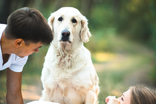 When Is Rehoming Your Dog The Best Option?
