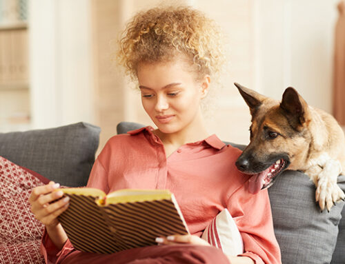 My Top 6 Must Read Dog Books
