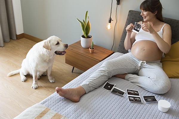 Preparing Your Dog Before Your First Baby Arrives
