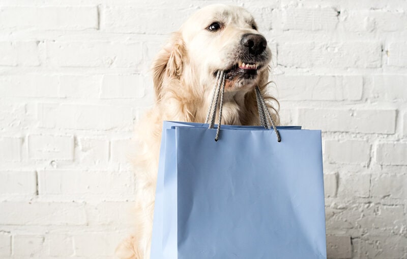 Dog Friendly Businesses • CommuniCanine