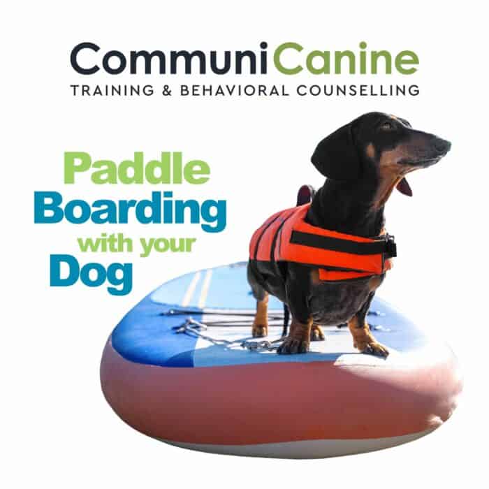 Friday, June 26th @ 6:30pm - Paddle Boarding With Your Dog
